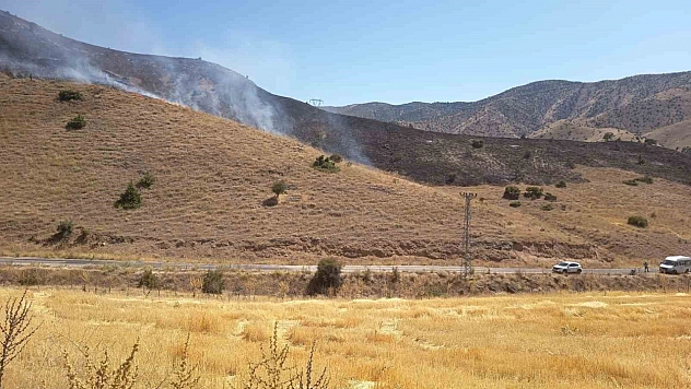 Elazığ'da Çıkan Anız Yangını Kontrol Altına Alındı