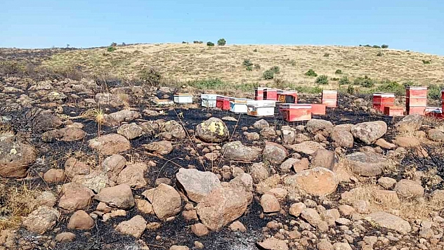 Elazığ'da Çıkan Arazi Yangını Arıcılara Zarar Verdi