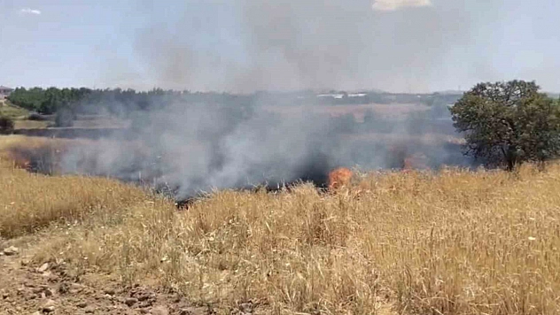 Elazığ'da Arazi Yangınına Müdahale Devam Ediyor