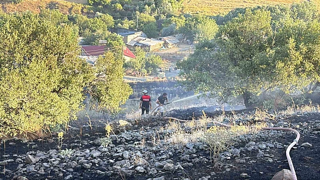 Elazığ'da Çıkan Arazi Yangını Korkuttu