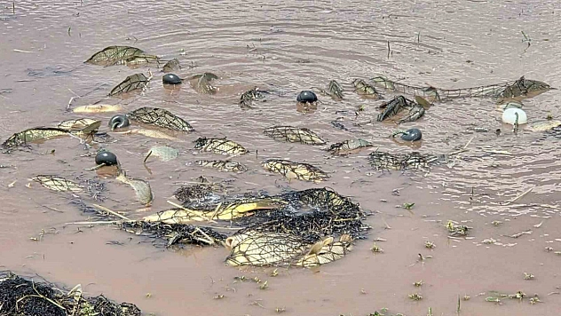 Elazığ'da Av Yasağı Denetimi: 3 Bin 90 Metre Ağ Ele Geçirildi