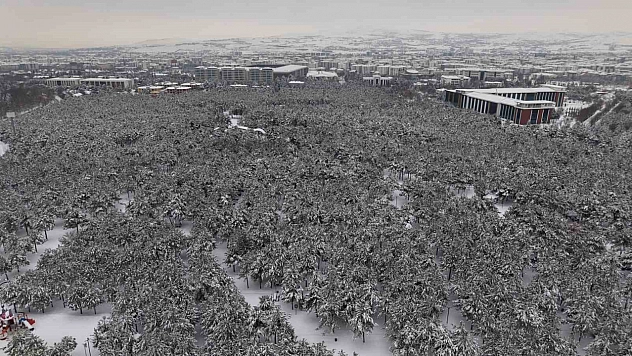 Elazığ'da Şehir Ortasında Beyaz Vaha