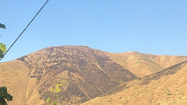 Elazığ'daki Dağlık Alan Yangını Kontrol Altına Alındı