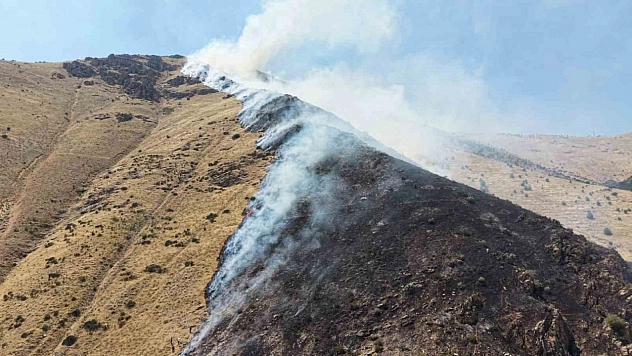 Elazığ'da Dağlık Alanda Çıkan Yangının Şüphelisi Yakalandı