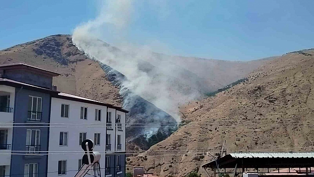 Elazığ'da Dağlık Alanda Yangın