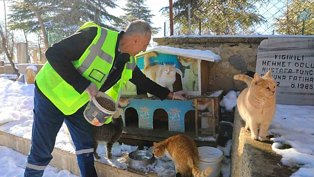 Elazığ'da vahşi hayvanların kış aylarında yiyecek bulmakta zorlanmaması için doğaya yem bırakıldı.