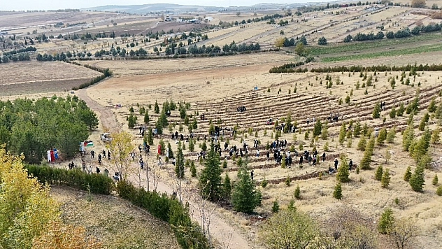 Elazığ'da Doğu Türkistan ve Filistin için fidanlar toprakla buluşturuldu