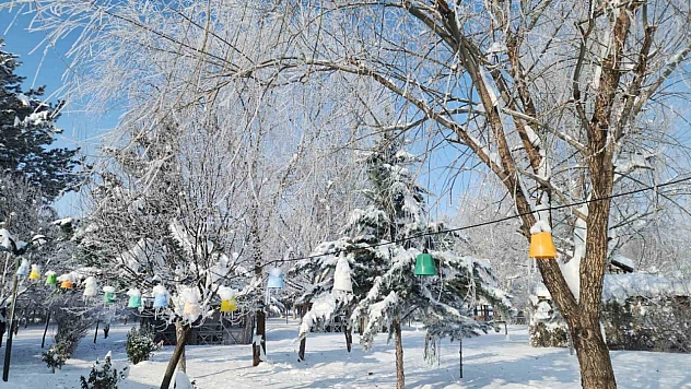 Elazığ'da etkili olan dondurucu soğuklar, kendini hissettirdi.Termometreler -22 dereceyi gösterdi.