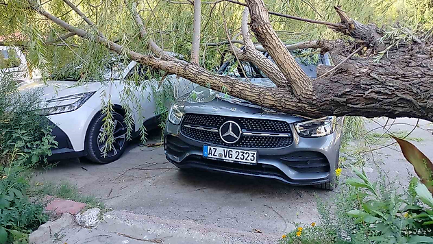 Elazığ'da Fırtına Ağaçları Devirdi: Araçlar Zarar Gördü