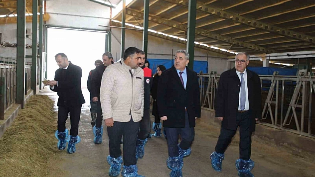 Elazığ'da Hayvancılık Yatırımları Değerlendirildi