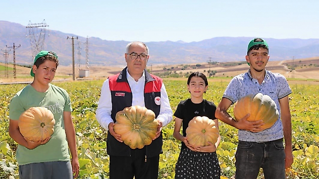 Elazığ'da Kabak Bereketi: 4 Bin Tonun Üzerinde Rekolte Beklentisi
