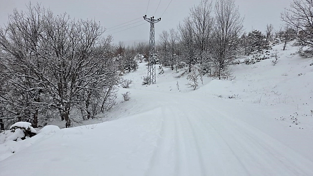 Elazığ'da kar yağışı etkisini gösterdi, 311 köy yolu ulaşıma kapandı.