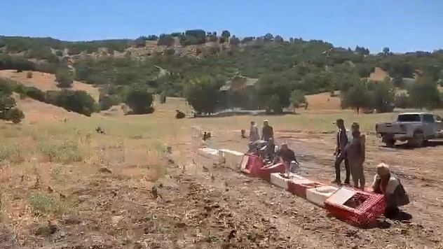 Elazığ'da Kene Mücadelesine Doğal Destek: Keklikler Salındı