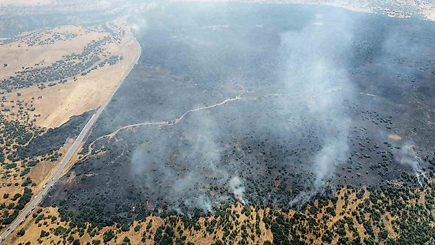 Elazığ'da Kırsal Alanda Çıkan Yangın Ormanlık Alana Sıçradı