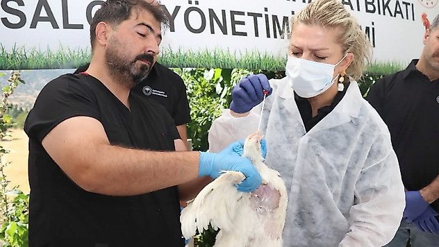 Elazığ'da Kuş Gribine Karşı Eğitim Verildi
