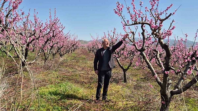Elazığ'da Meyve Bahçelerinde Zararlılarla Mücadele Başladı
