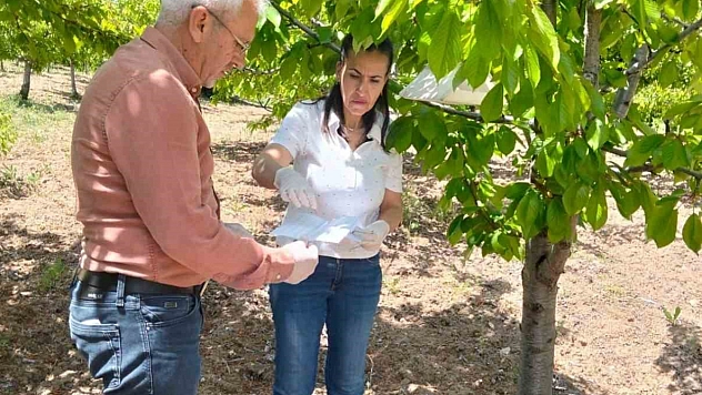 Elazığ'da Meyve Bahçelerinde Zararlılara Karşı Yakın Takip