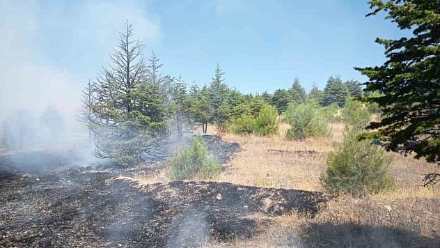 Elazığ'da Örtü Yangını Çıktı