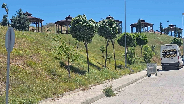 Elazığ'da Kuvvetli Rüzgar Hayatı Olumsuz Etkiledi