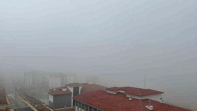 Elazığ'da sis etkisini göstermeye devam ediyor.