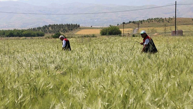 Elazığ'da Süne Sürveyi ve CBS Çalışmaları Sahada Değerlendirildi