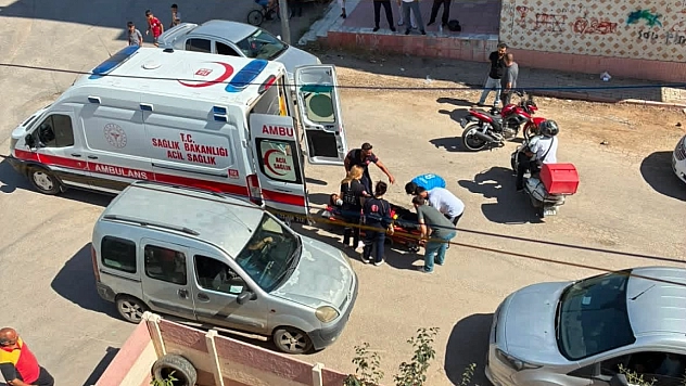 Elazığ'da Korkutan Trafik Kazası: 1 Yaralı