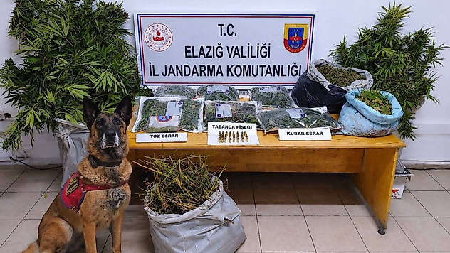 Elazığ'da Uyuşturucu Operasyonunda 3 Şüpheli Tutuklandı