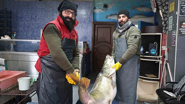 Elazığ'da Dev Turna Balığı Görenleri Şaşırttı