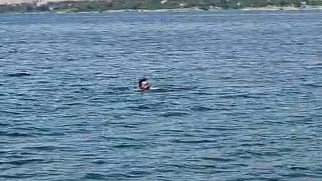 Elazığ'dan Malatya'ya Yüzerek Geçti: Görenleri Şaşırttı