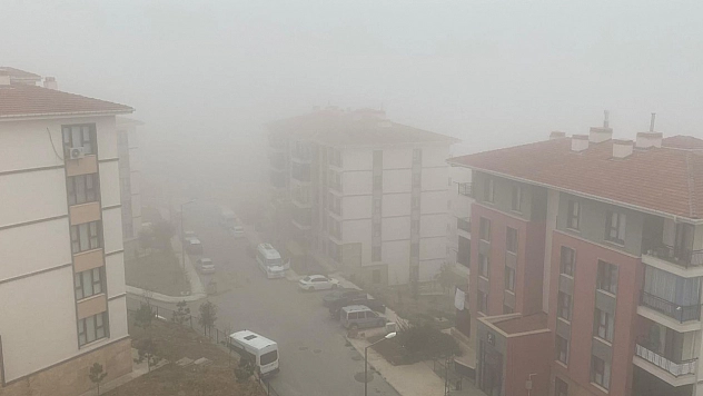 Elazığ'ın yüksek kesimlerinde sis etkili oldu.