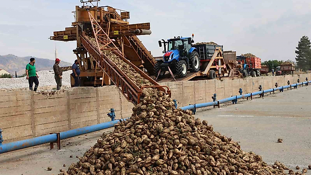 Elazığ Şeker Fabrikası'nda 71. Kampanya Dönemi Başladı: 240 Bin Ton Pancar İşlenecek