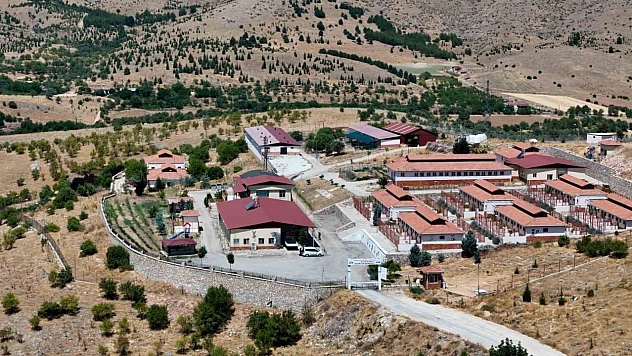 Geçici Bakımevi 15 Bin Sokak Hayvanını Sağlığına Kavuşturdu