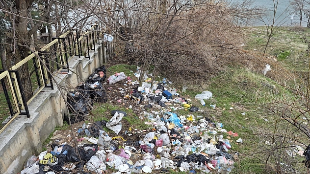 Hazar Gölü Sahilindeki Kirliliğe Müdahale: 10 Ton Çöp Toplandı