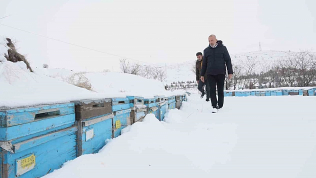 Kar Yağışı Arıcılara Umut Oldu: Sezon İçin Umutlu Bekleyiş