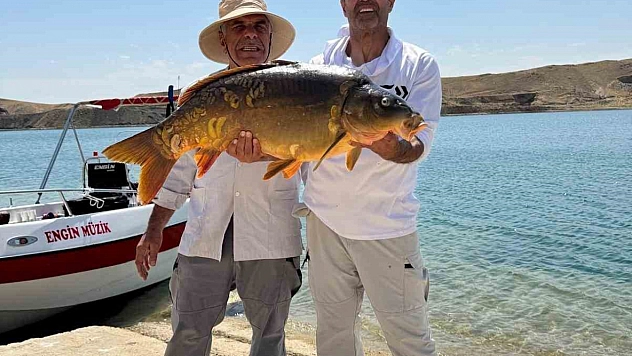 Keban Baraj Gölü'nde Rekor Sazan: Tam 27 Kilo