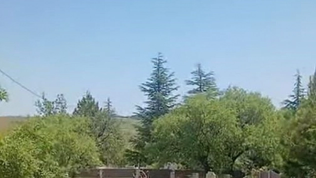 Harput'ta Dağ Keçileri Objektiflere Takıldı