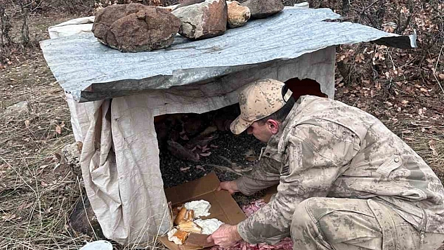 Yol Kenarına Terk Edilen Yavrulara Jandarma Sahip Çıktı