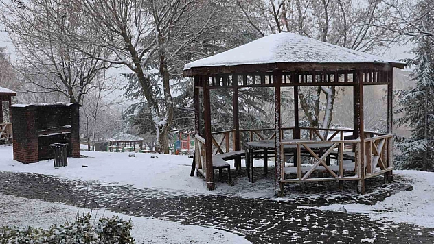 Elazığ'da Mart Ayında Kar Yağışı