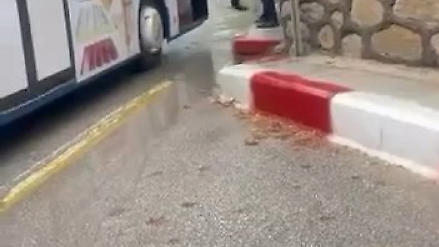 Otobüs Şoförüyle Kavga Etti, Şemsiyeyle Saldırdı