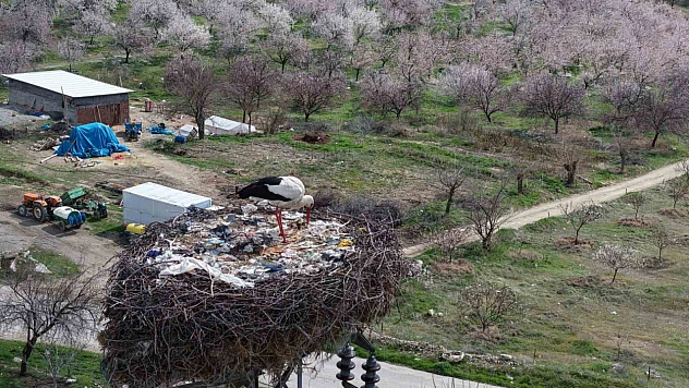 10 Yıldır Aynı Yuvaya Dönen Sadık Leylek