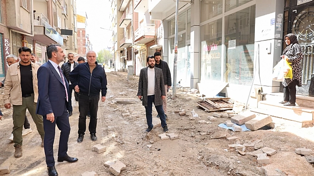 Şahin Şerifoğulları, Kentin Dört Bir Yanında Yürütülen Çalışmaları Yerinde İnceledi