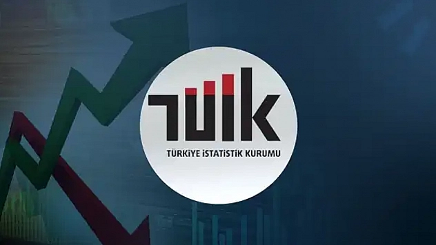 TÜİK 2025 Aile İstatistikleri Açıklandı: Elazığ 'Tek Ebeveynli Aile' Oranında Zirveyi Zorluyor