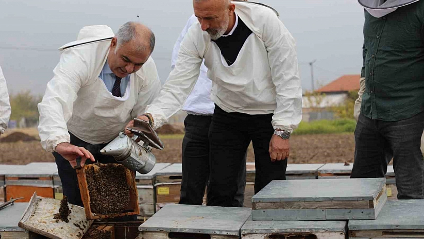Elazığ'daki arı kovanları üzerinde incelemeler yapıldı.