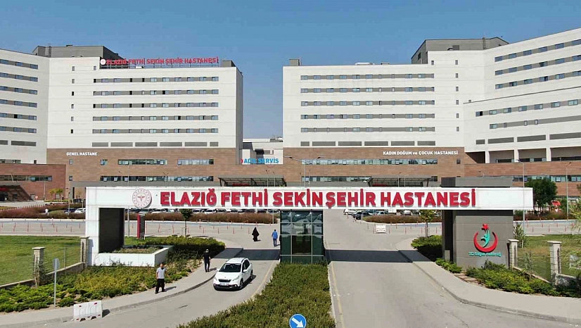 Elazığ'da Kar ve Buz Kazalara Neden Oldu: 645 Yaralı