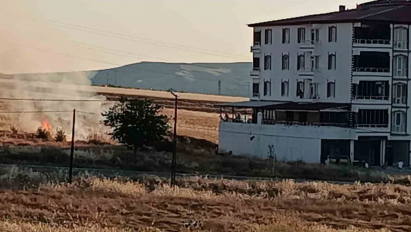 Elazığ'da Ekili Buğday Tarlası Alevlere Teslim Oldu