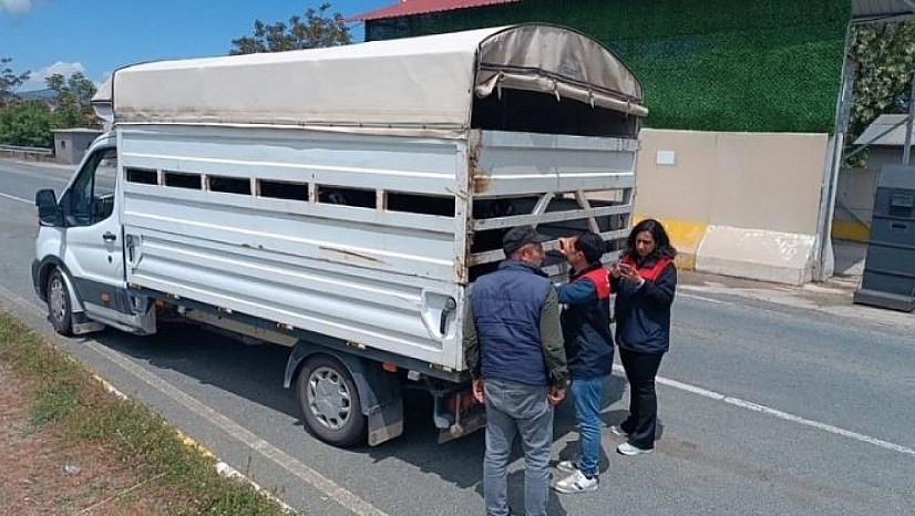 Kurban Bayramı Öncesi Elazığ'da Denetimler Artırıldı