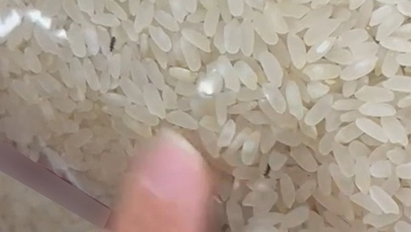 Elazığ'da Şaşırtan Görüntü: Paketli Pirincin İçinden Böcek Çıktı