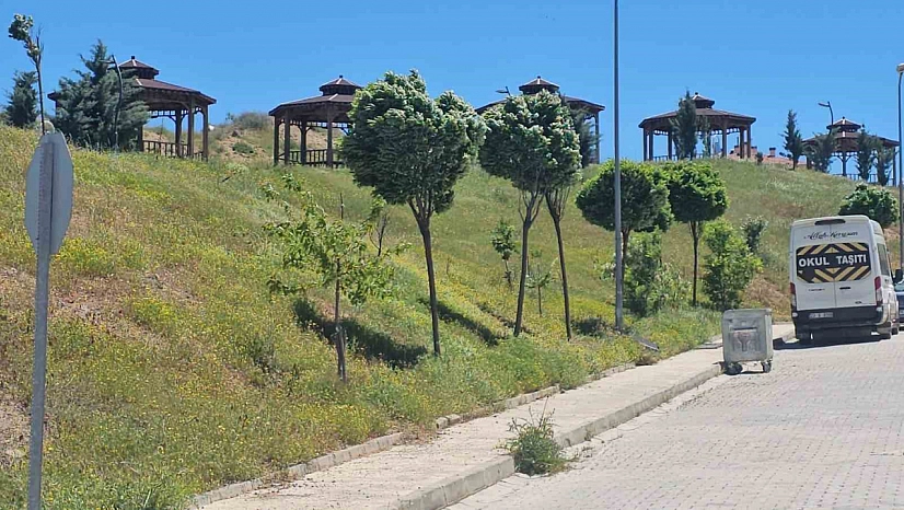 Elazığ'da Kuvvetli Rüzgar Hayatı Olumsuz Etkiledi