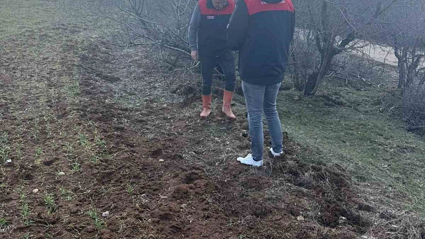 Elazığ'da Tarla Faresi Sürvey Çalışması