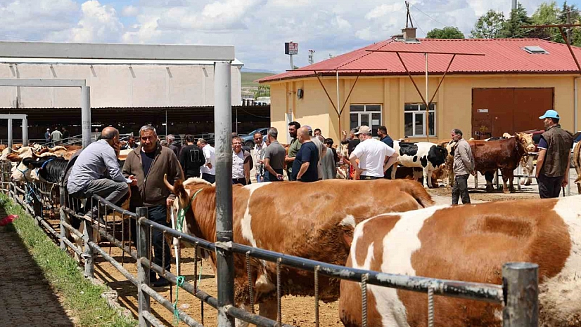 Arife Gününde Kurban Pazarında Yoğun Mesai